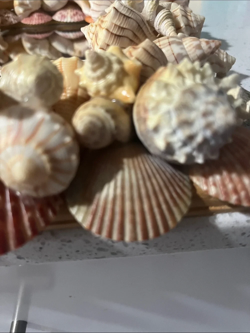 Handmade Coastal Seashell “Charli’ Starfish Wall Mirror - Natural Beige Shells